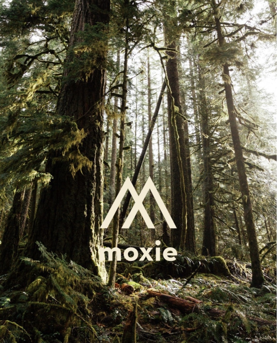 Moxie Marketing