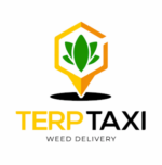 TerpTaxi Weed Delivery NJ
